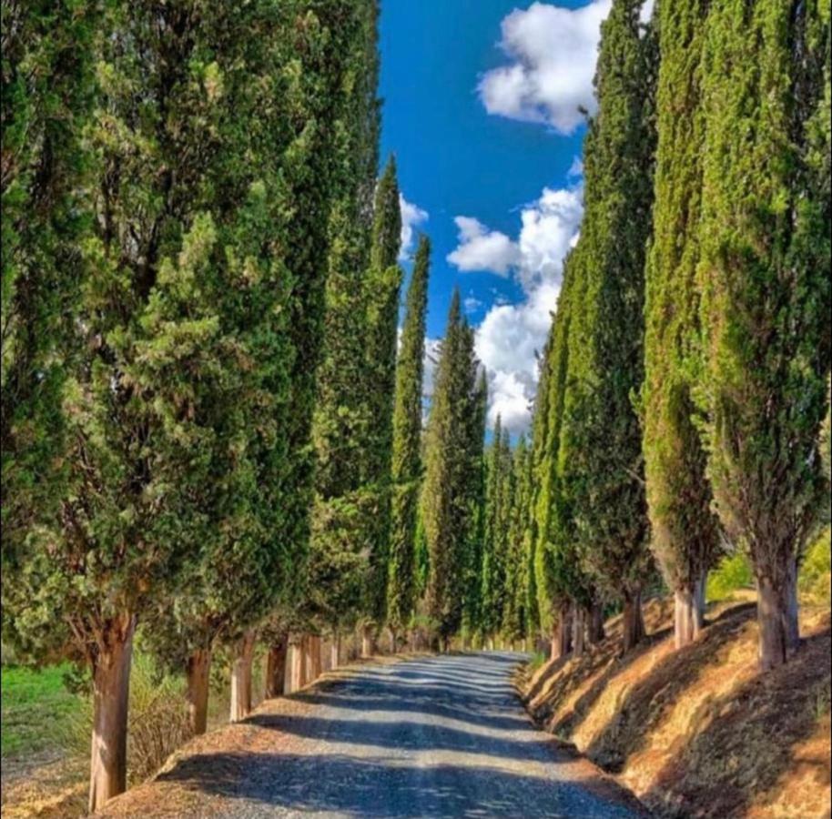 Agriturismo Fattoria Il Piano - Casa Tosca - Сан-Джиміньяно Екстер'єр фото
